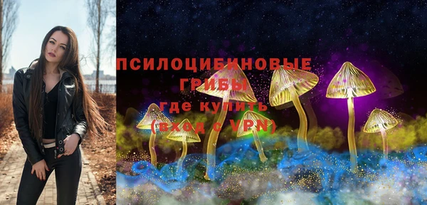 PSILOCYBIN Баксан